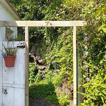 Cruz - Terracos Do Pico Holiday home